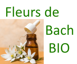 Fleurs de Bach BIO à prix phyto-soins